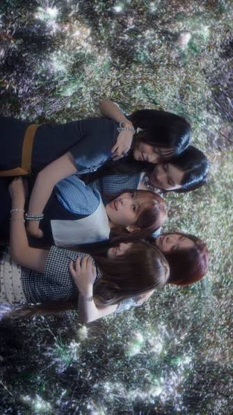 Captura do clipe